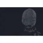 ΣΚΟΥΦΟΣ ΕΡΓΑΣΙΑΣ WRAXALL ΑΝΑΚΛΑΣΤΙΚΟΣ ΜΑΥΡΟΣ ΜΕ ΕΣΩΤΕΡΙΚΟ FLEECE 3Μ XL - Image 2