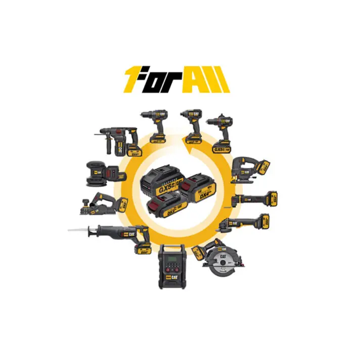 CAT SET ΚΑΤΣΑΒΙΔΙ ΠΑΛΜΙΚΟ Li-ion 18V 2x2Ah DX71 - Image 5