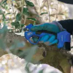 GY 2802PS: ΨΑΛΙΔΙ ΚΛΑΔΕΜΑΤΟΣ ΜΠΑΤΑΡΙΑΣ 28mm 16.8V 2x2Ah - Image 3