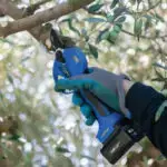 GY 3202PS: ΨΑΛΙΔΙ ΚΛΑΔΕΜΑΤΟΣ ΜΠΑΤΑΡΙΑΣ 32mm 16.8V 2x2Ah ΜΕ ΟΘΟΝΗ - Image 3