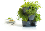 PROSPERPLAST Γλαστράκια Βοτάνων Cubi Herbal 9 θέσεων DKN3003-426U - Image 2