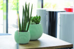 PROSPERPLAST Γλάστρα Splofy Bowl Λευκό 9 lt DKSP370-S449 - Image 2