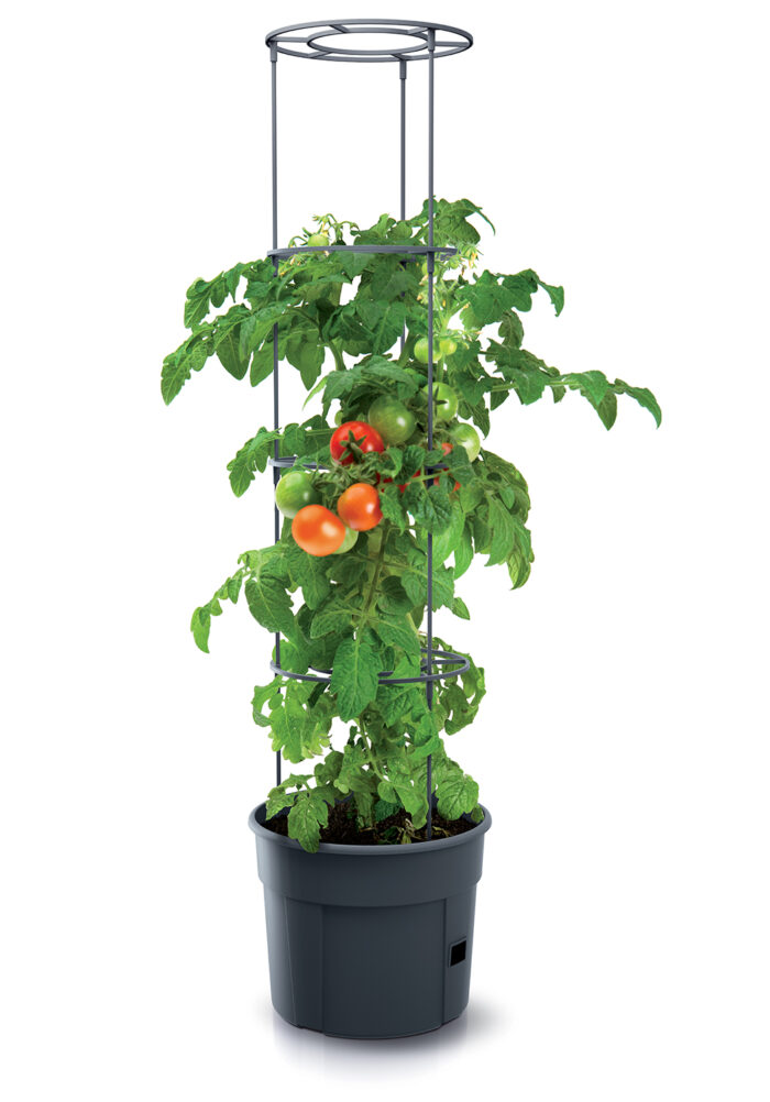 PROSPERPLAST Γλαστράκι Tomato Grower ∅39,2 cm IPOM400-S433 - Image 2
