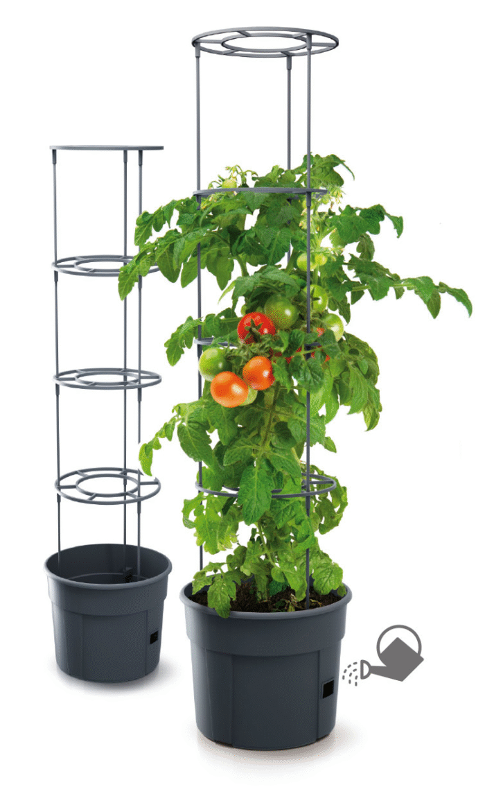 PROSPERPLAST Γλαστράκι Tomato Grower ∅39,2 cm IPOM400-S433 - Image 1