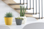 PROSPERPLAST Γλάστρα Wheaty Χρώμα Ανθρακί 3 lt DWH190-S433 - Image 3