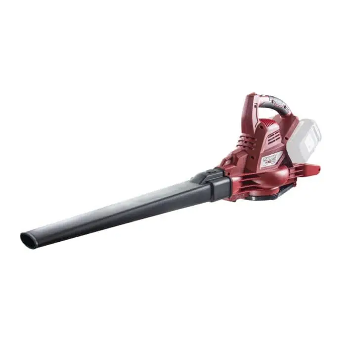 RAIDER R20 Solo Φυσητήρας μπαταρίας 40V RDP-SEBV20 077403 - Image 3