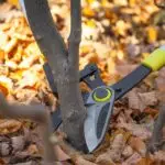 GARDEX Ψαλίδα κλάδου τηλεσκοπ. αλουμινίου λαβή 700mm 382918 - Image 5