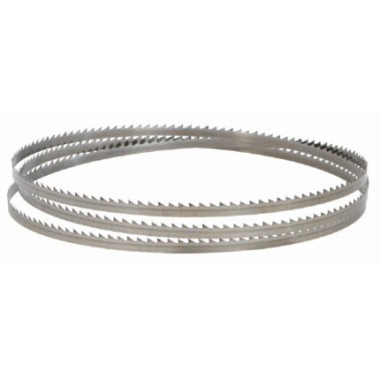 RAIDER Πριονοκορδέλα ανταλλακτική 155701