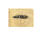 CAT Σουγιάς αναδιπλούμενος με γάντζο 13.3cm 980266IG - Image 16
