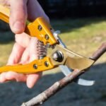 GARDEX Ψαλίδι κλάδου αλουμινίου 200mm 402901 - Image 4