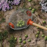 AGP Συλλέκτης καρπών εδάφους bingo small 220x175mm χωρίς κοντάρι - Image 2